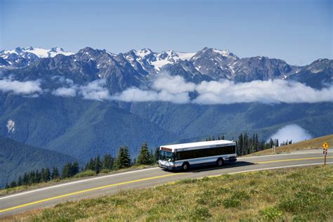 Clallam transit - Clallam Transit, which serves communities such as Port Angeles, chose to go fare-free for 2024 partly to reduce traffic on U.S. Highway 101, where major roadwork has raised traffic fears.